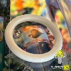 Elastique Silicone Flipperled - 1"1/2 ID