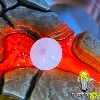 Elastique Silicone Flipperled - 3/8" OD (Petit OD)